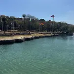 Apestrella Торевьиа