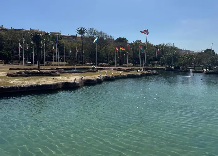 Apestrella Torrevieja