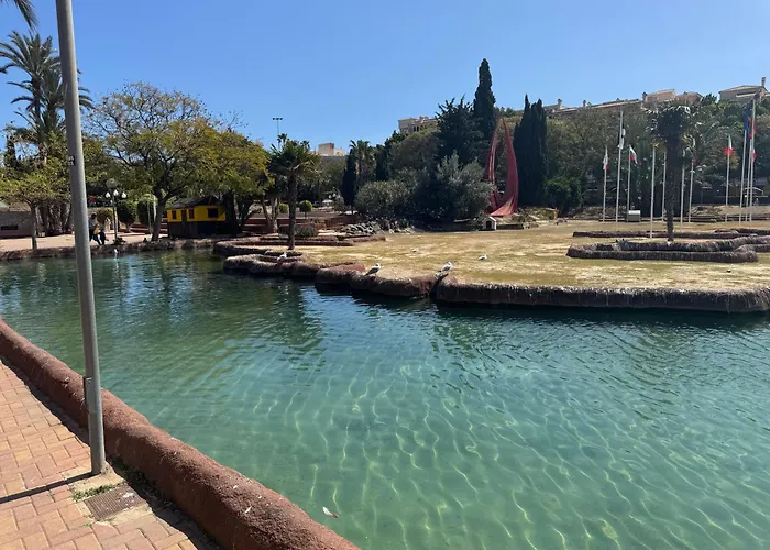 Apestrella * Torrevieja